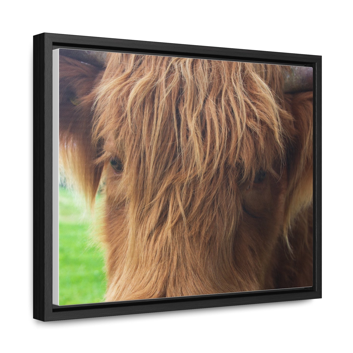 Gentle Gaze Close-Up Canvas Print
