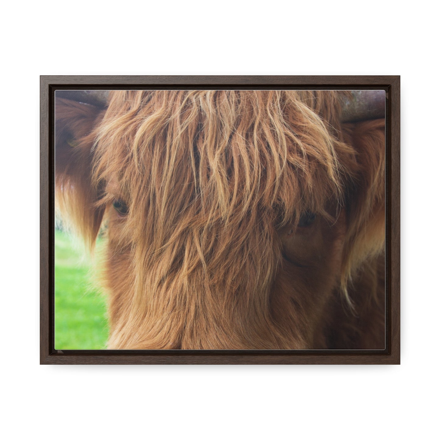 Gentle Gaze Close-Up Canvas Print
