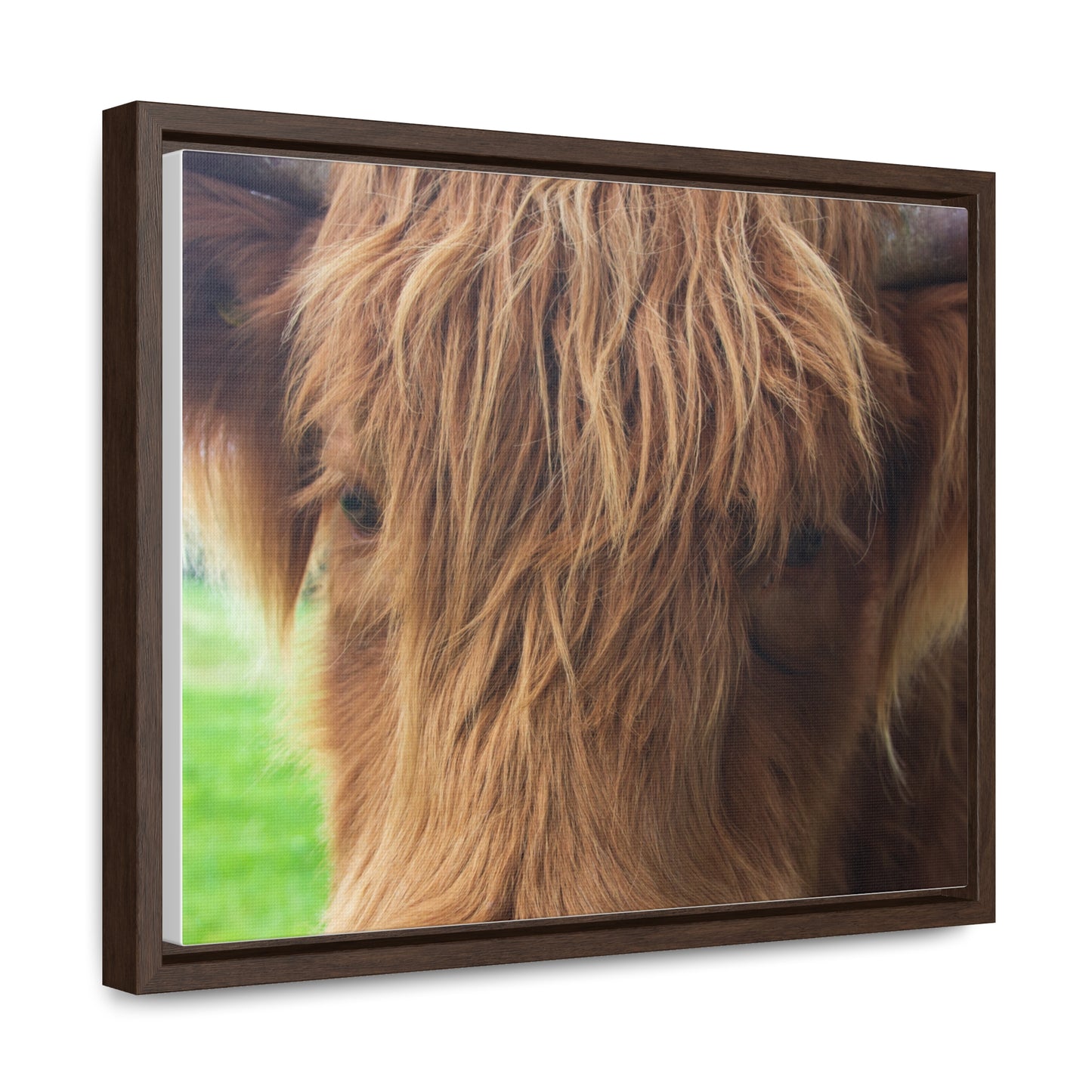 Gentle Gaze Close-Up Canvas Print