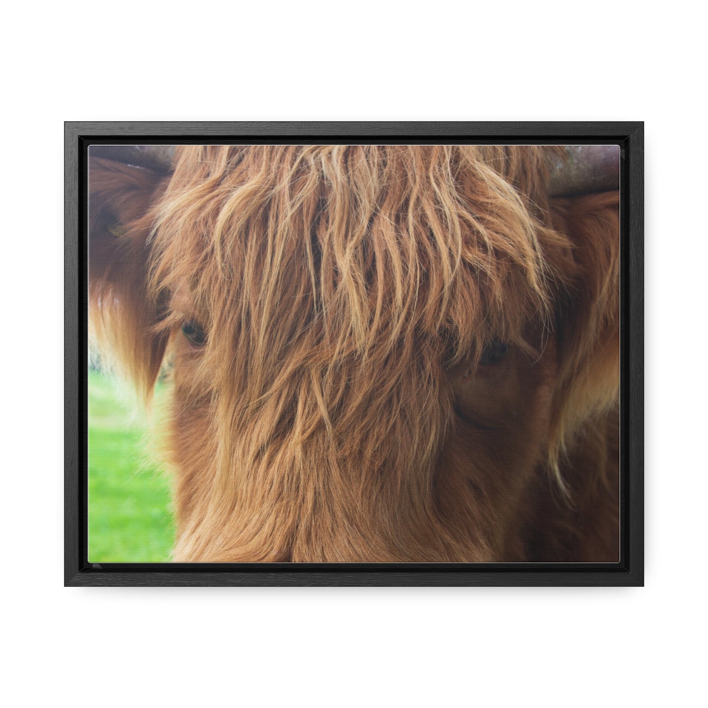 Gentle Gaze Close-Up Canvas Print