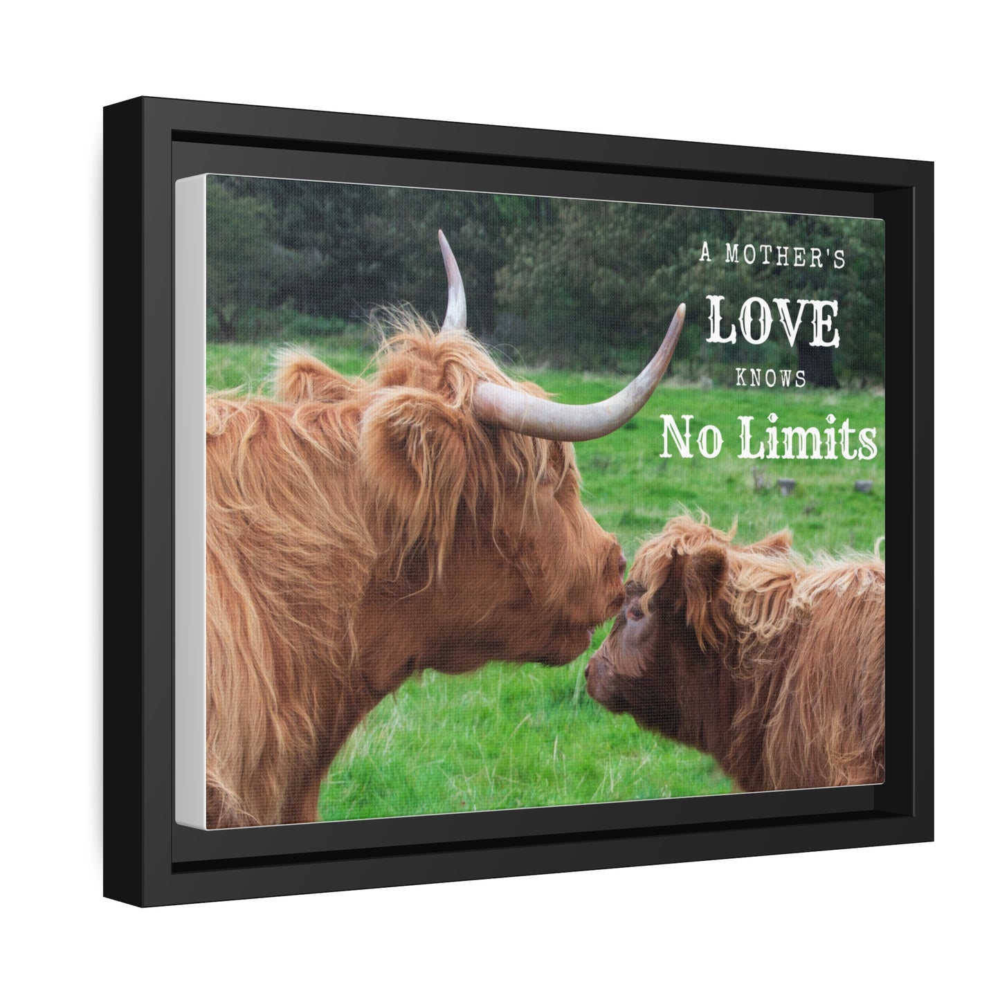 Bound by Love: Mother and Daughter Highlanders Canvas Print